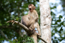 Megan Lorenz, The Comedy Wildlife Photography Awards