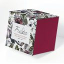 Дизайн студии Anxela Ruxa