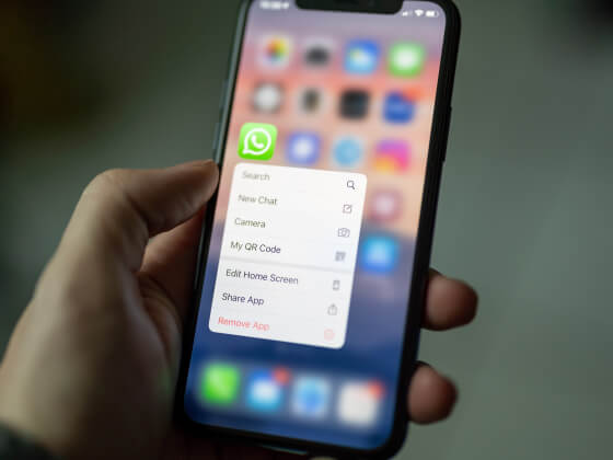 87% опрошенных россиян назвали WhatsApp* самым популярным мессенджером