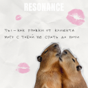 Подборка на 14 февраля: поздравления от брендов и агентств с Днем святого Валентина