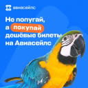 «Самурай, алабай и Парагвай»: как ошибается пилот в новой рекламной кампании «Авиасейлс»