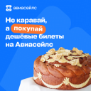 «Самурай, алабай и Парагвай»: как ошибается пилот в новой рекламной кампании «Авиасейлс»