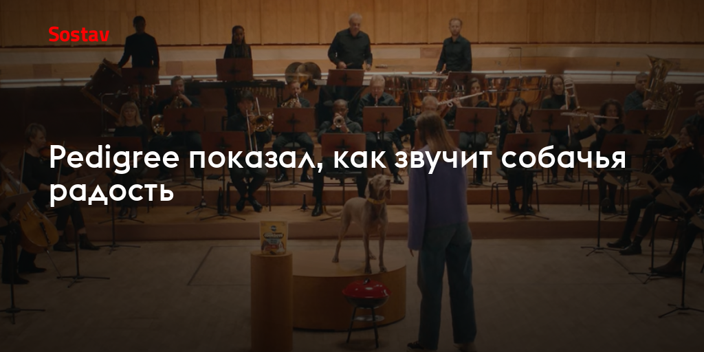 Pedigree показал, как звучит собачья радость
