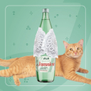 Как по нотам: как участники «Евровидения» повлияли на местный креатив