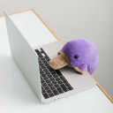 Утконос вышел в офлайн: «Точка Банк» превратил маскота в функциональную игрушку