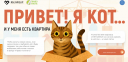 Кот с квартирой ищет семью: BM Group и фонд «Право на жизнь» запустили необычную кампанию