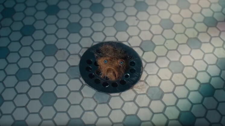 «Супербоул-2026»: теории заговора, буллинг и ИИ-страхи