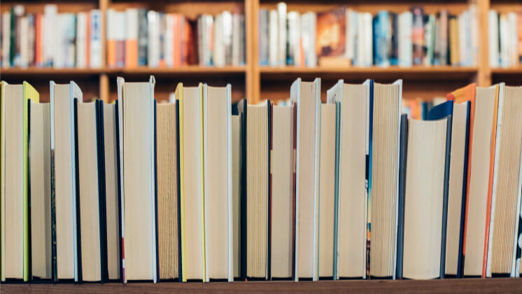 Госдума одобрила законопроект о льготной аренде помещений для книжных магазинов