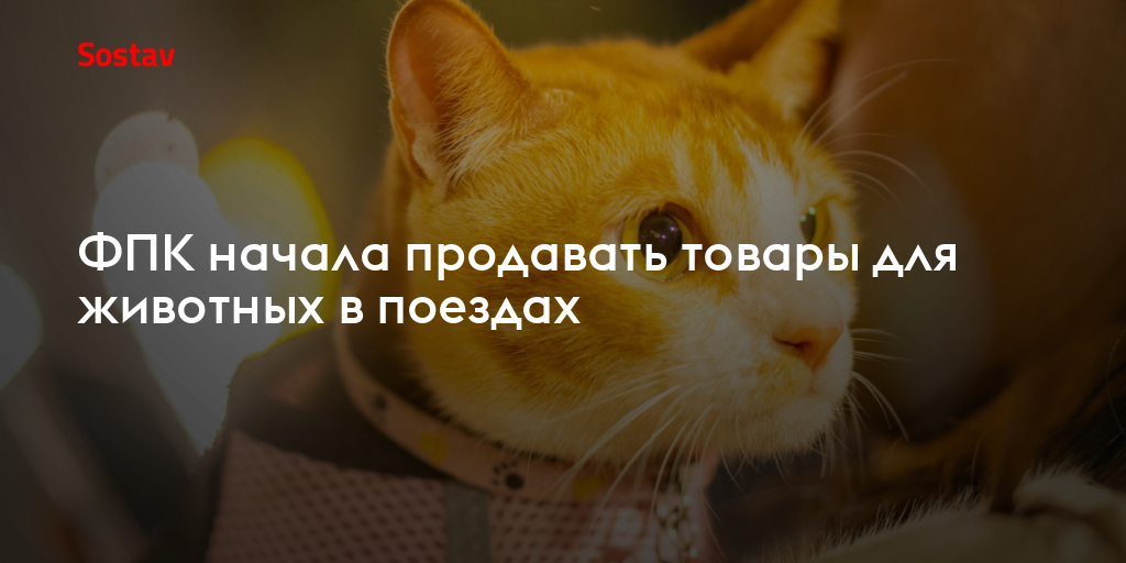 ФПК начала продавать товары для животных в поездах