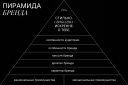 «Сейчас твой выход»: ребрендинг для Shagovita от Fabula Branding