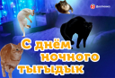 Апрель в активациях: как бренды превратили коммуникации в шоу