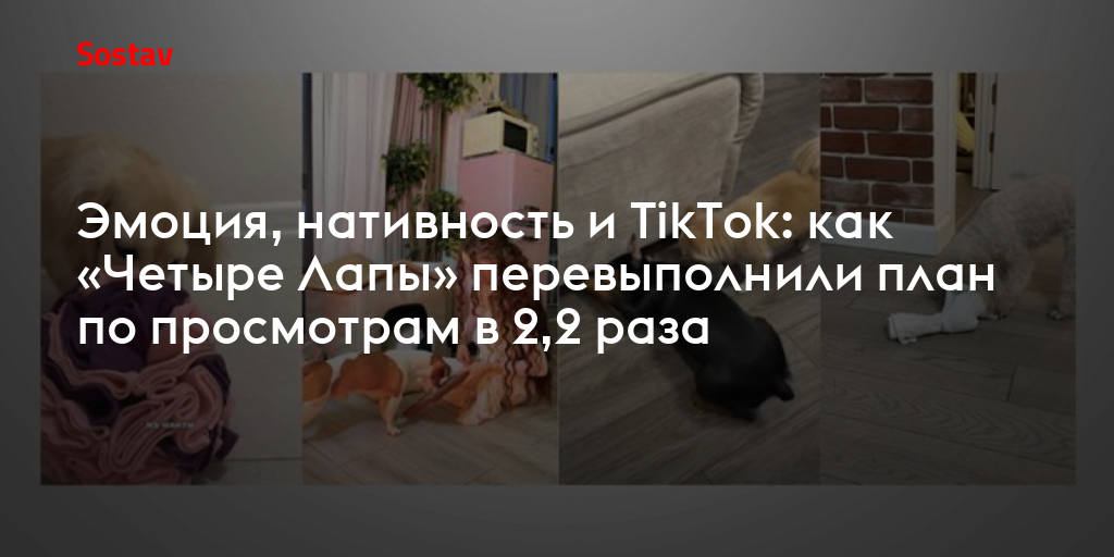 Эмоция, нативность и TikTok: как «Четыре Лапы» перевыполнили план по просмотрам в 2,2 раза