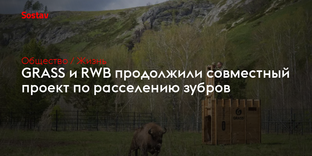 GRASS и RWB продолжили совместный проект по расселению зубров