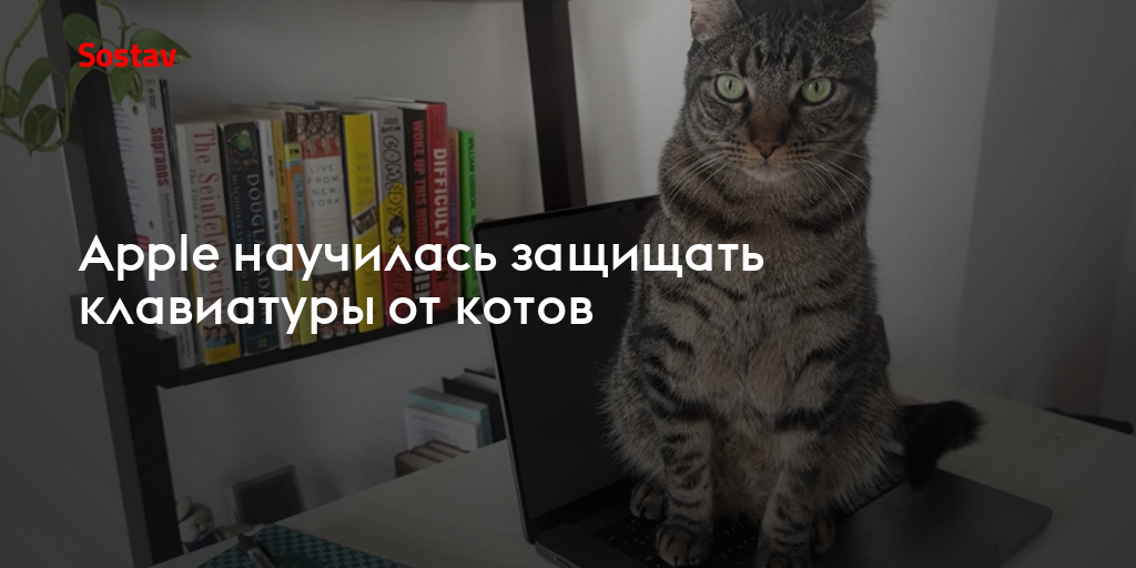 Apple научилась защищать клавиатуры от котов