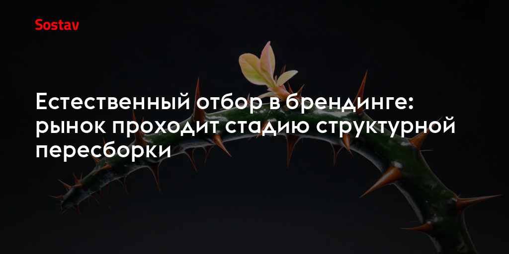 Естественный отбор в брендинге: рынок проходит стадию структурной пересборки