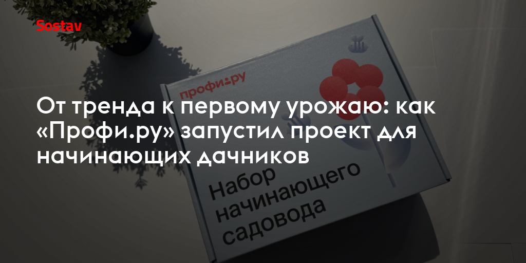 От тренда к первому урожаю: как «Профи.ру» запустил проект для начинающих дачников