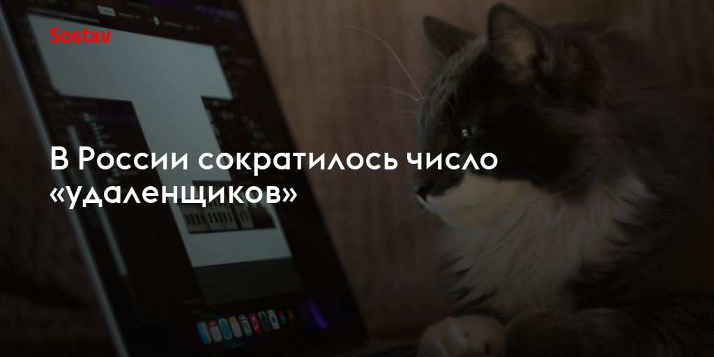 В России сократилось число «удаленщиков»