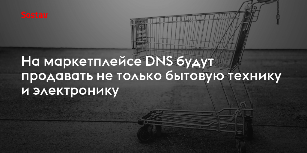 На маркетплейсе DNS будут продавать не только бытовую технику и электронику