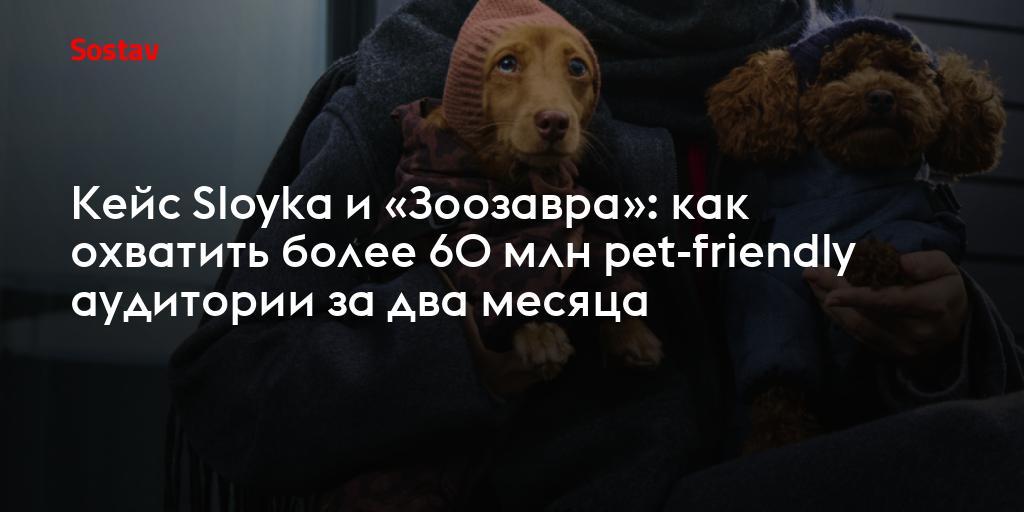 Кейс Sloyka и «Зоозавра»: как охватить более 60 млн pet-friendly аудитории за два месяца